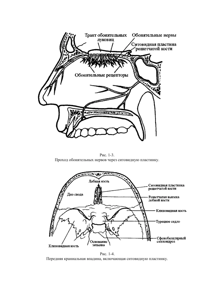 Terapia czaszkowo-krzyżowa. Księga 2
